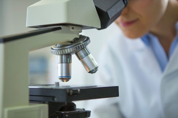 Microscopic Varicocelectomy